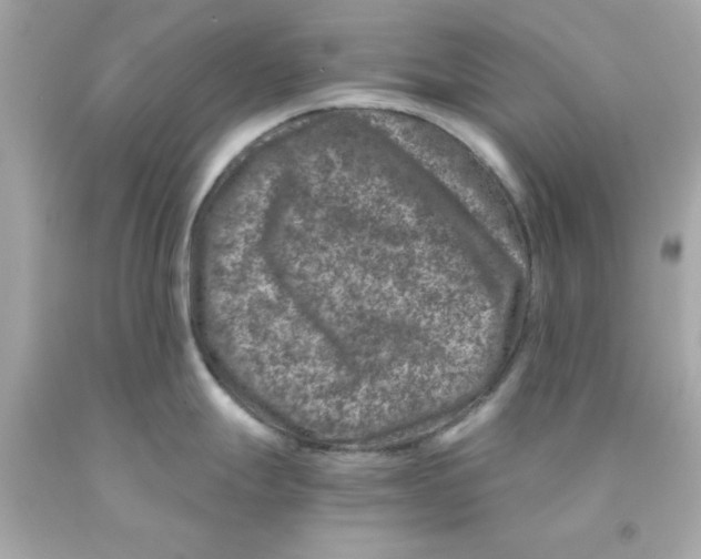 X0000093121247200710241256