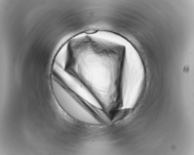 X0000093121248200710241256