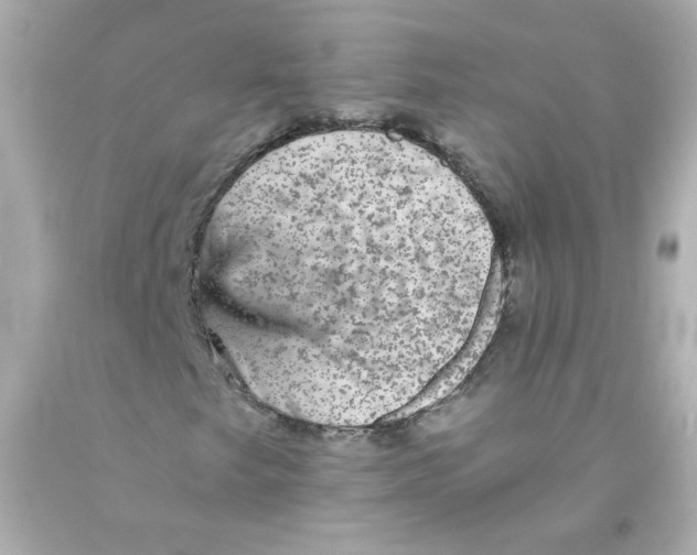 X0000093121249200710241255