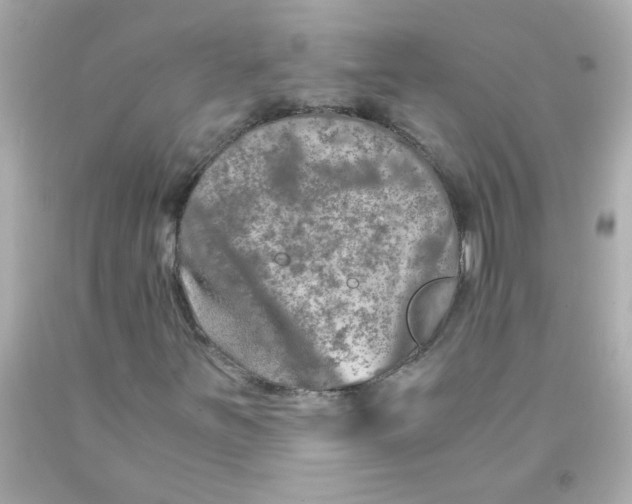 X0000093121251200710241255