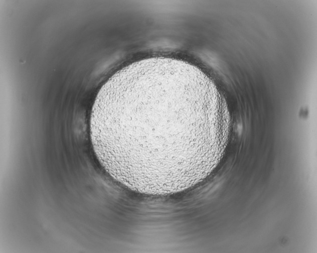 X0000093121252200710241255