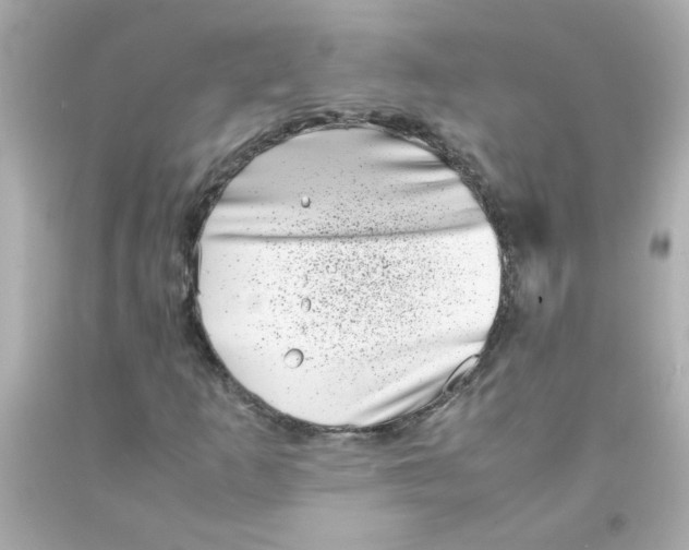 X0000093121253200710241255