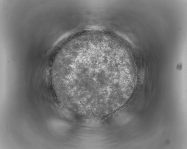 X0000093121254200710241255