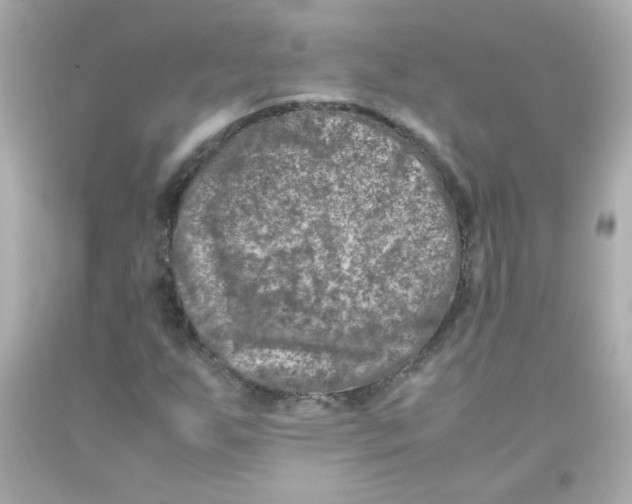 X0000093121255200710241255