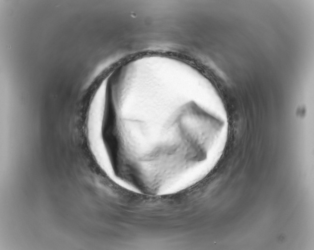 X0000093121256200710241255