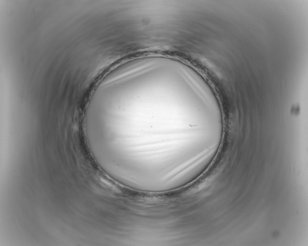 X0000093121257200710241255