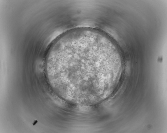 X0000093121258200710241255