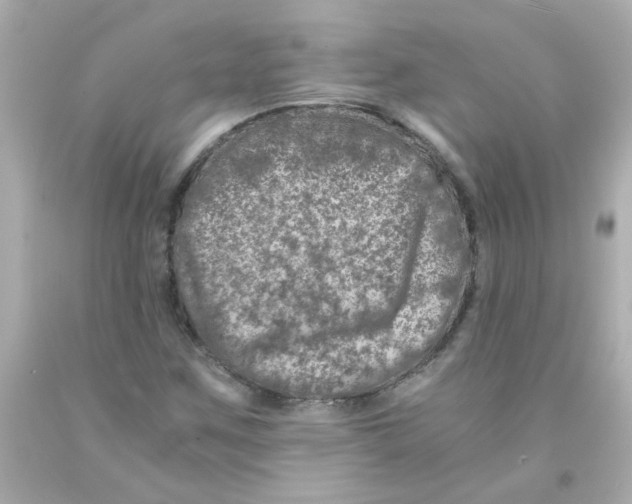 X0000093121259200710241255