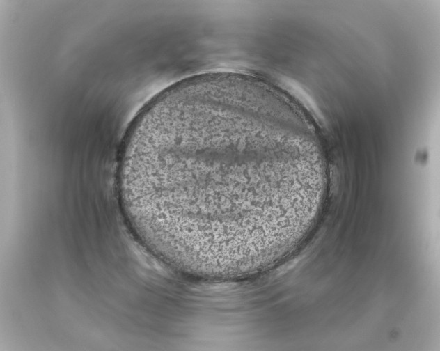 X0000093121260200710241255