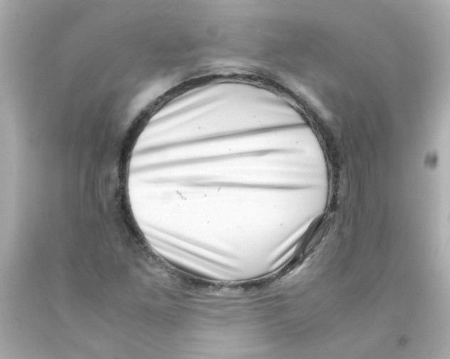 X0000093121261200710241255