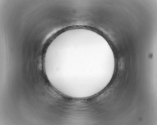 X0000093121262200710241255