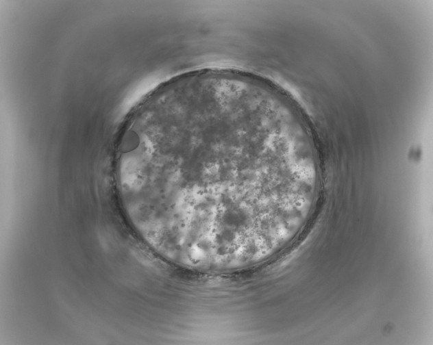 X0000093121263200710241255