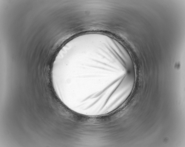 X0000093121265200710241255