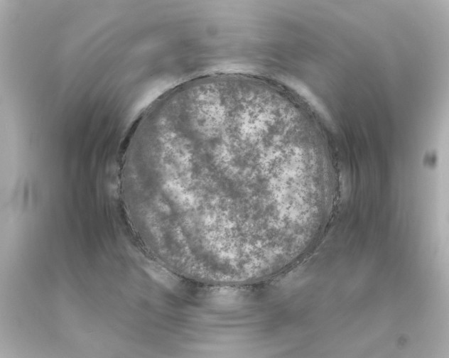 X0000093121266200710241255