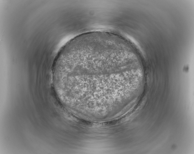 X0000093121267200710241255