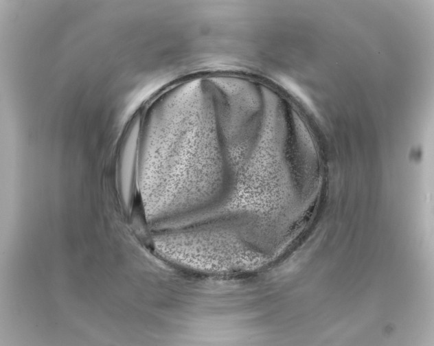 X0000093121269200710241255