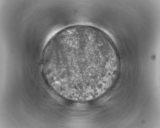 X0000093121271200710241255