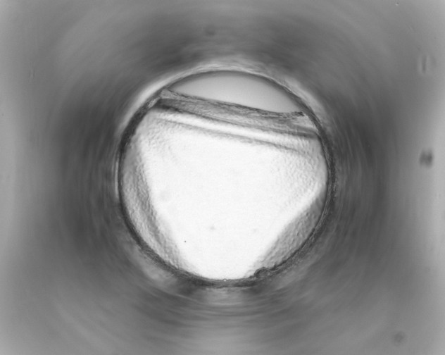 X0000093121272200710241255