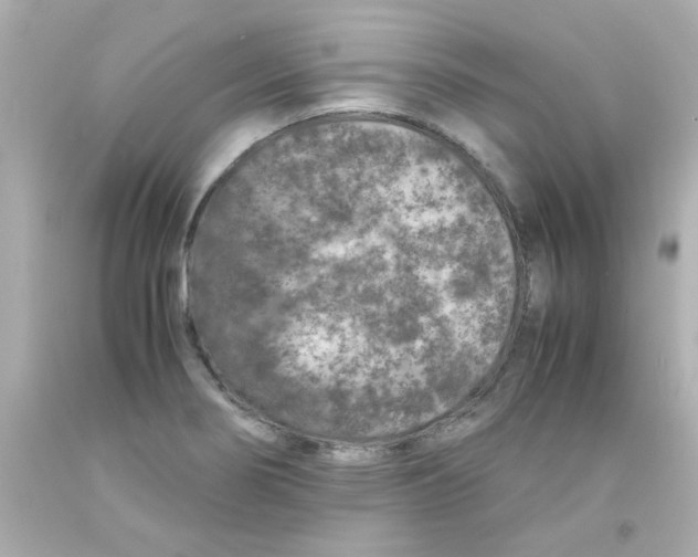 X0000093121274200710241255