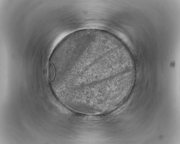 X0000093121275200710241255