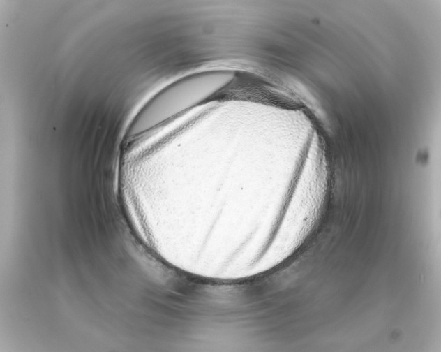 X0000093121276200710241255