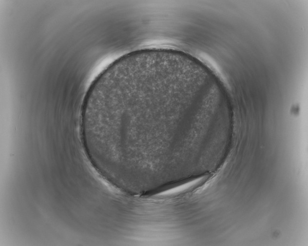 X0000093121277200710241255