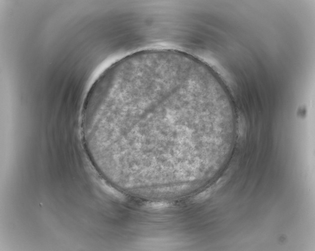 X0000093121278200710241255