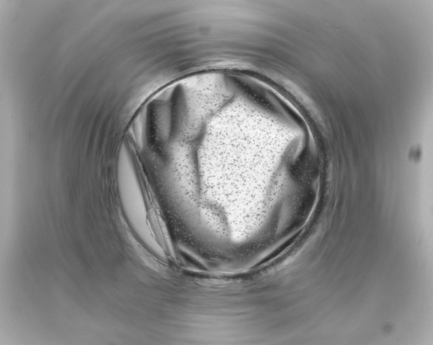 X0000093121281200710241255