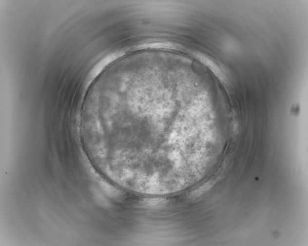 X0000093121282200710241255