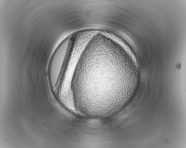 X0000093121283200710241255