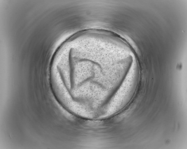 X0000093121285200710241255