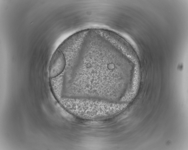 X0000093121287200710241255