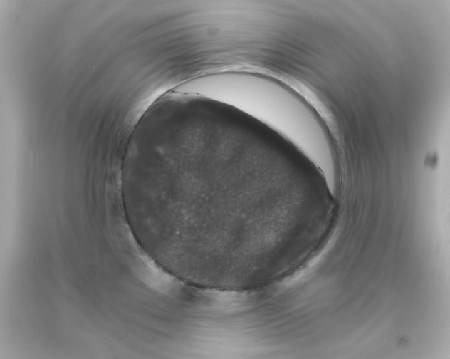 X0000093121289200710241255