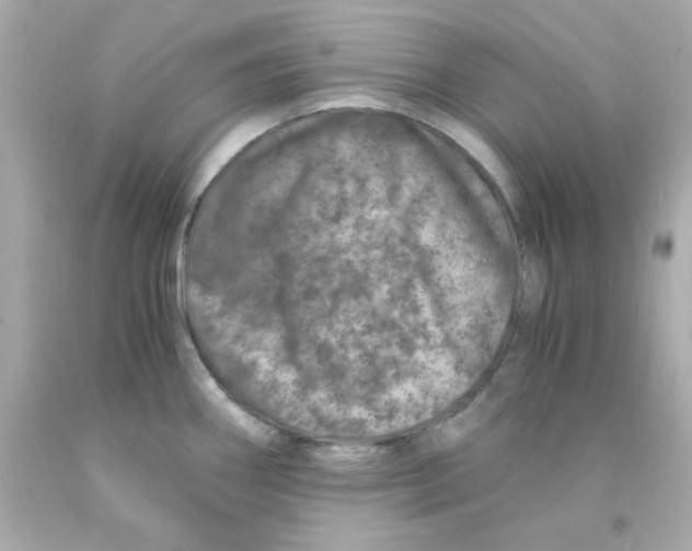 X0000093121290200710241255