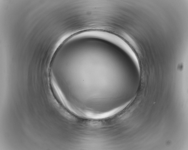 X0000093121291200710241255