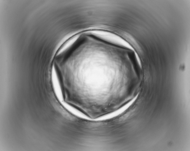 X0000093121292200710241255