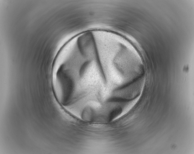 X0000093121295200710241255