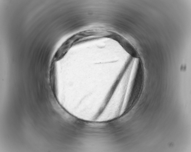 X0000093121296200710241255