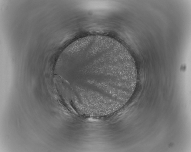 X0000093121297200710241254