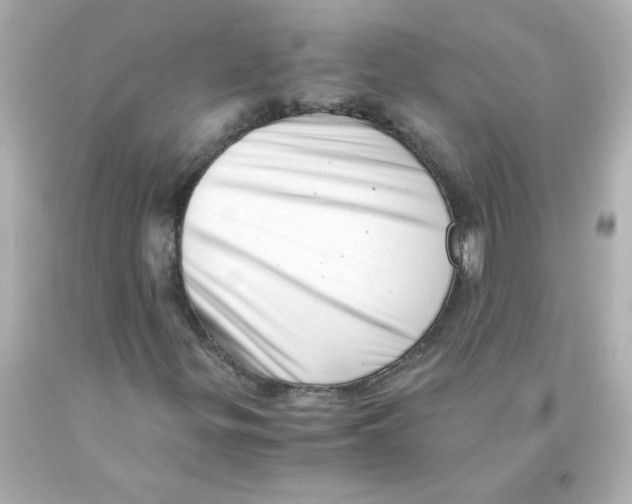 X0000093121299200710241254