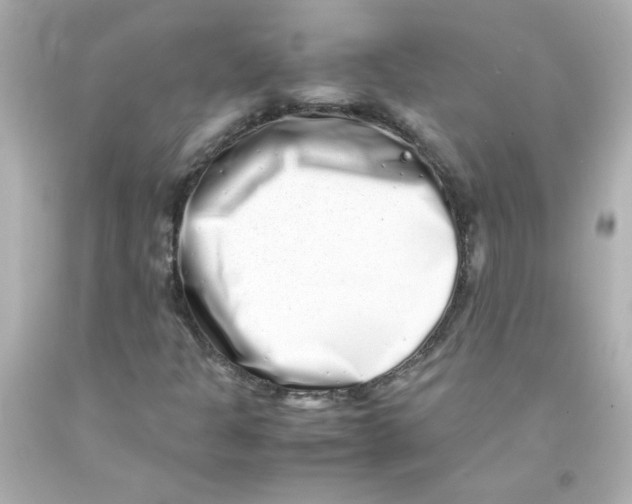 X0000093121301200710241254