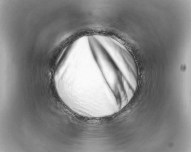 X0000093121302200710241254