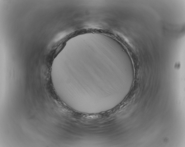 X0000093121303200710241254