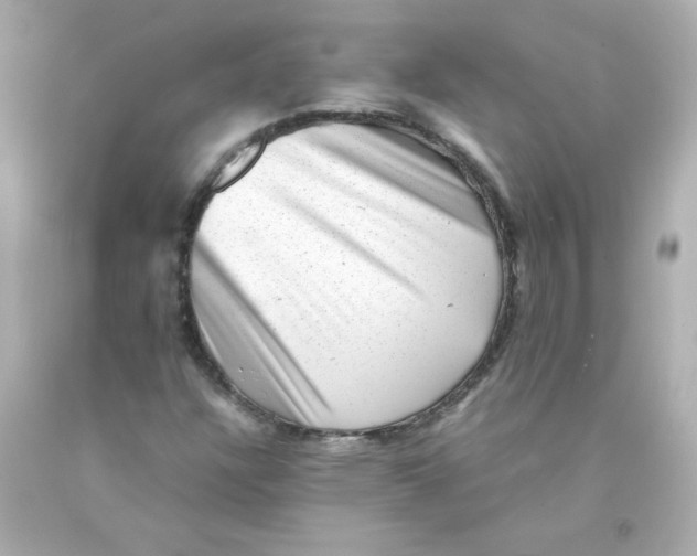 X0000093121304200710241254