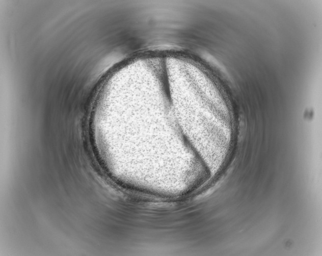 X0000093121305200710241254