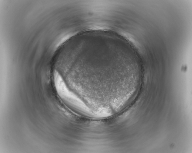 X0000093121306200710241254