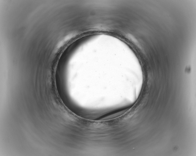 X0000093121307200710241254