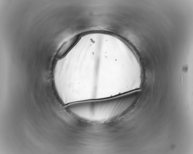 X0000093121308200710241254