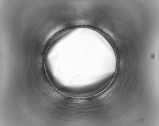 X0000093121309200710241254