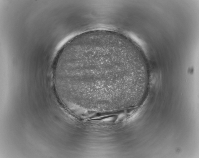 X0000093121310200710241254